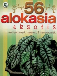 Image of 56 Alokasia Eksotis