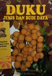 Image of Duku Jenis Dan Budi Daya