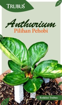 Image of Trubus Anthurium